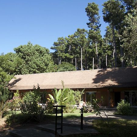 Hotel Lodge Au Bois Vert Antananarivo International Airport Ivato Bagian luar foto